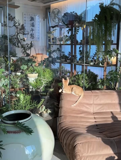 동아리 서브 이미지