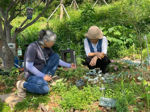 동아리 서브 이미지