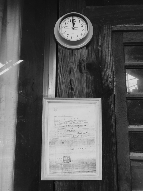 동아리 대표 이미지