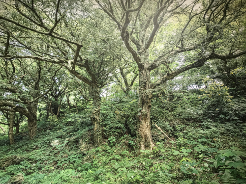 동아리 서브 이미지