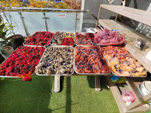 동아리 대표 이미지