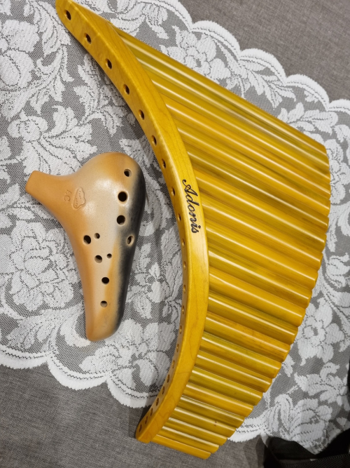 동아리 대표 이미지